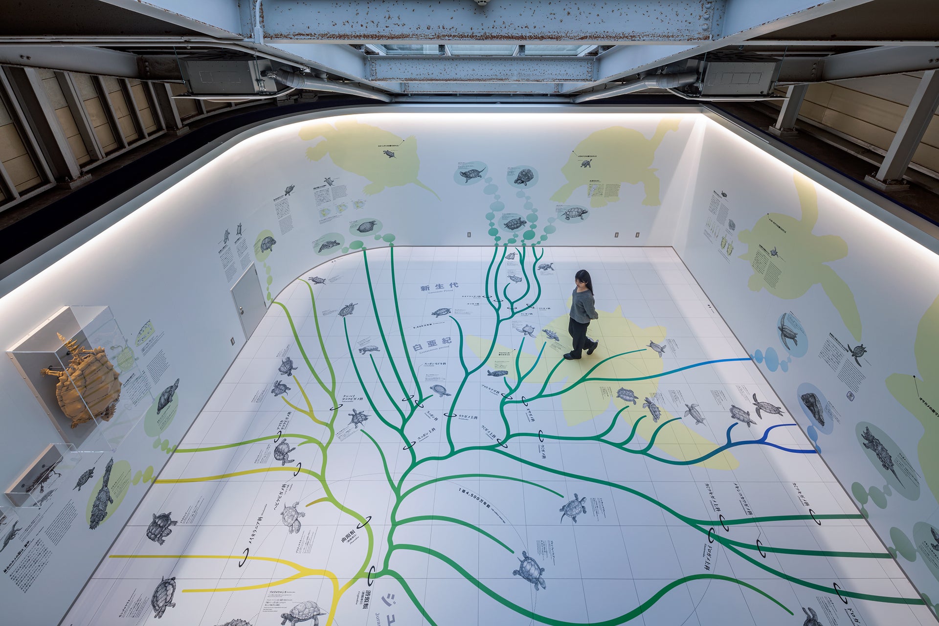 日和佐うみがめ博物館カレッタ リニューアル1